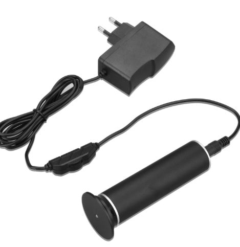 Electric foot file